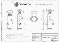 Гидроцилиндр 143-860603023